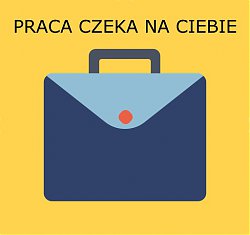 Praca - technolog, programista